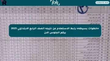 «خطوات بسيطة» رابط الاستعلام عن نتيجة الصف الرابع الابتدائي 2025 برقم الجلوس الآن